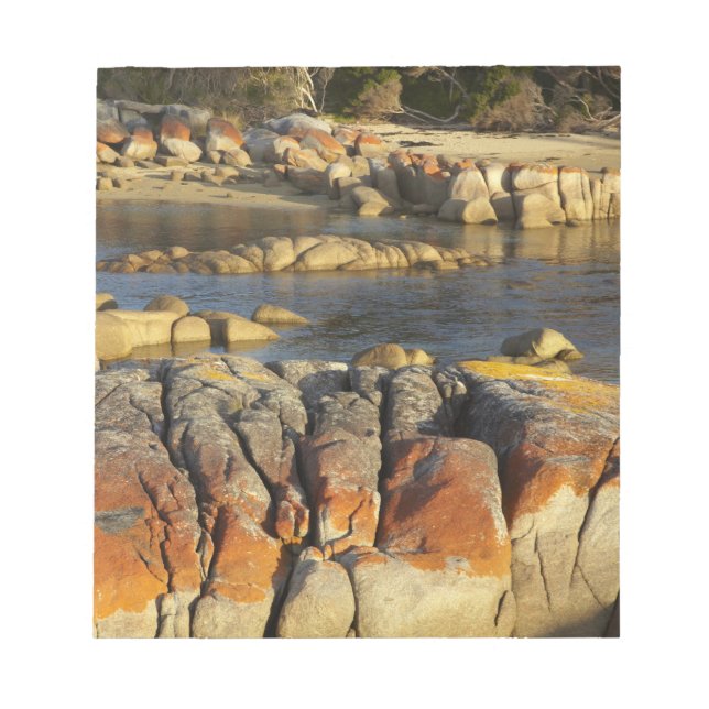 Orange Lichen on Rocks, Binalong Bay, Bay of Notepad (Front)