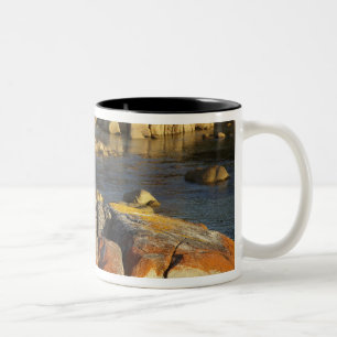 Orange Lichen on Rocks, Binalong Bay, Bay of Two-Tone Coffee Mug