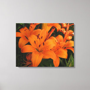 Orange Lilies Wrapped Canvas