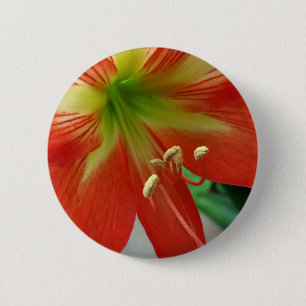 orange lily 2 inch round button