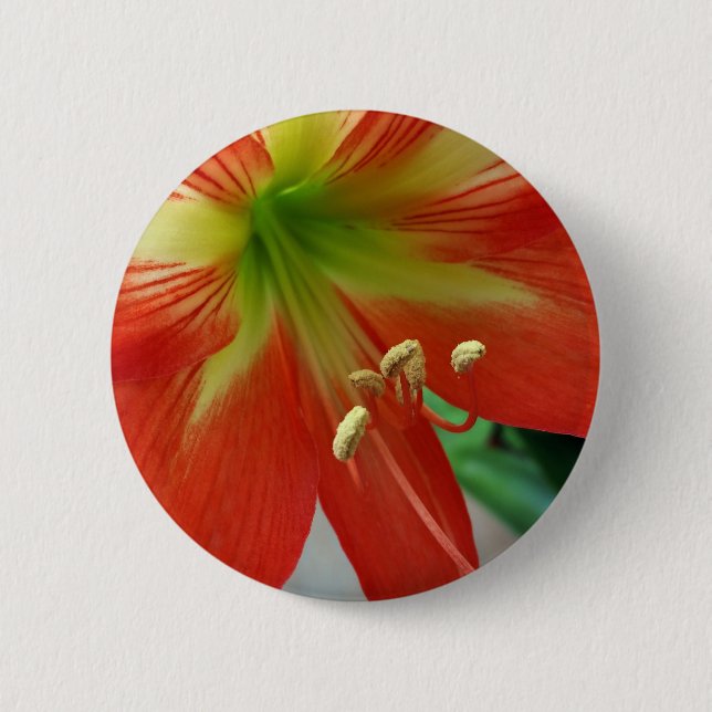 orange lily 2 inch round button (Front)