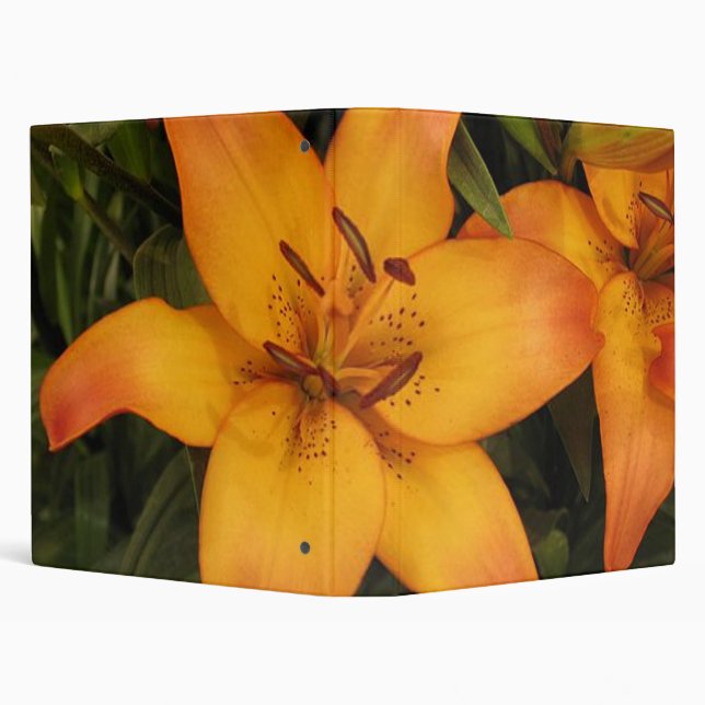 Orange Lily Binder (Background)