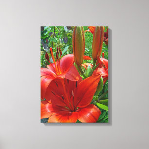 Orange Lily Blossoms - Left Facing Canvas Print