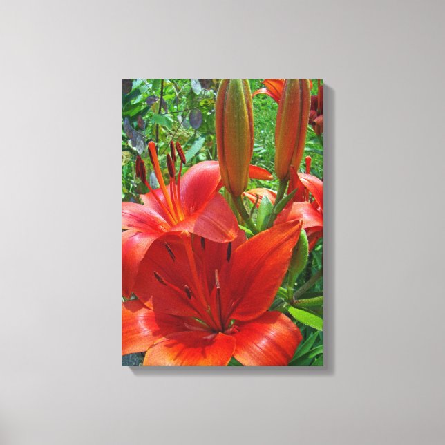 Orange Lily Blossoms - Left Facing Canvas Print (Front)