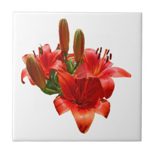 Orange Lily Blossoms - Right Facing Tile