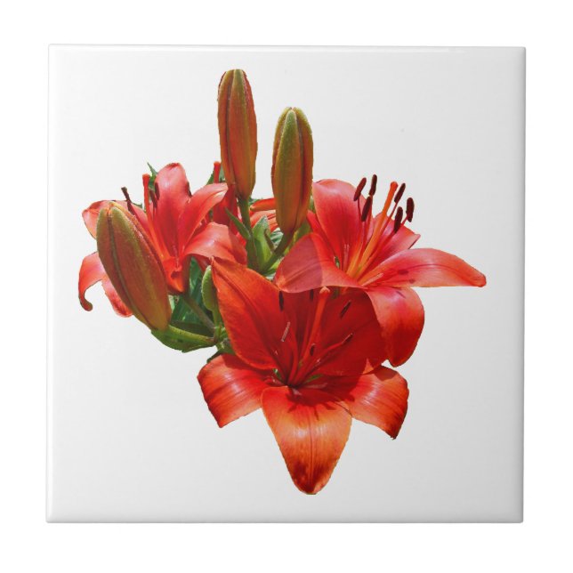 Orange Lily Blossoms - Right Facing Tile (Front)