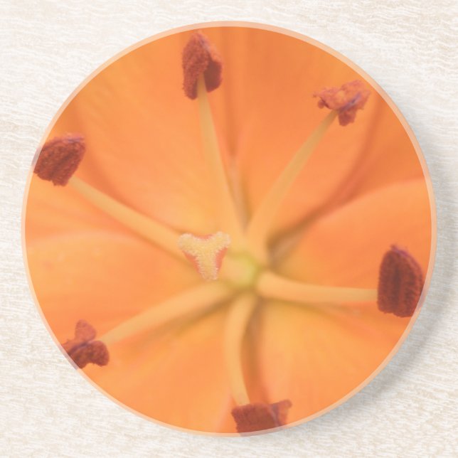 Orange Lily Floral Coasters (Front)