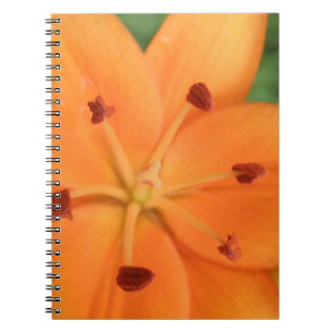 Orange Lily Floral Notebook