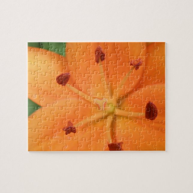 Orange Lily Floral Puzzle (Horizontal)