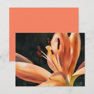Orange Lily Flower Art Note Card Set