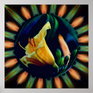 Orange Lily Flower Floral Abstract Art Poster
