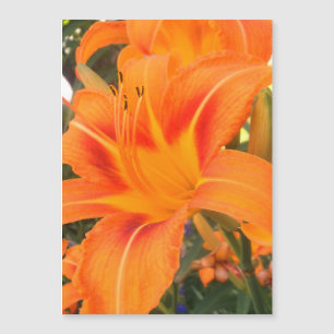 Orange lily in the garden - magnetic card