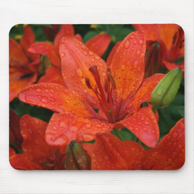 Orange Lily Mousepad (Front)