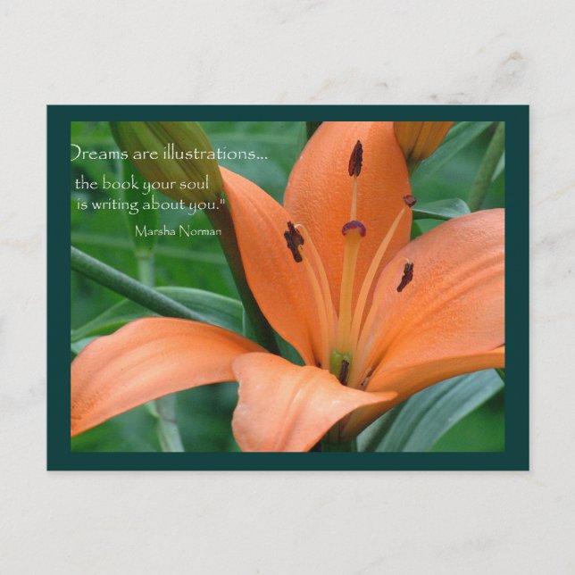 Orange Lily Postcard (Front)