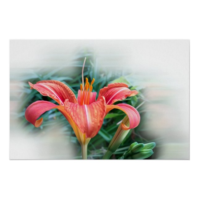 orange lily poster (Front)