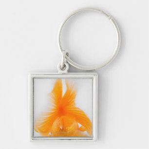 Orange lionhead goldfish (Carassius auratus) 2 Keychain