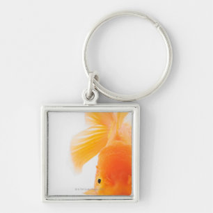 Orange lionhead goldfish (Carassius auratus) Keychain