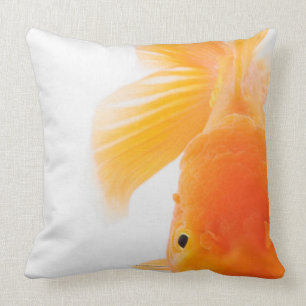 Orange lionhead goldfish (Carassius auratus) Throw Pillow
