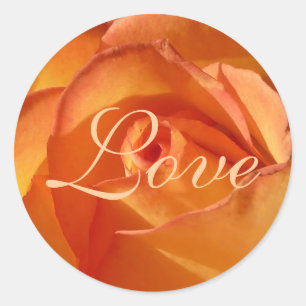 Orange Love Rose Sticker
