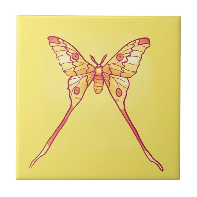 Orange Luna Moth Art – Colourful Insect Art Tile (Front)