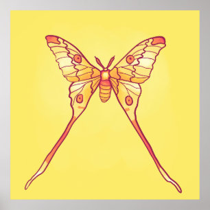 Orange Luna Moth Art – Colourful Insect Poster