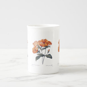 Orange Lychnis Redoute  Bone China Mug
