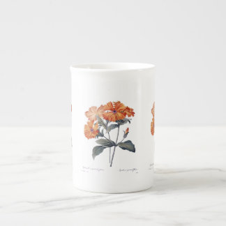 Orange Lychnis Redoute  Bone China Mug