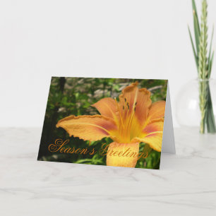 Orange Lys Flower Holiday Card