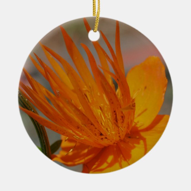 Orange Macro Flower Ornament (Front)