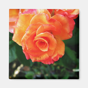 Orange magnet