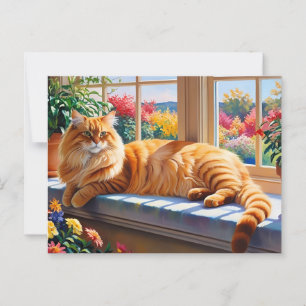 Orange Maine Coon Cat  Postcard