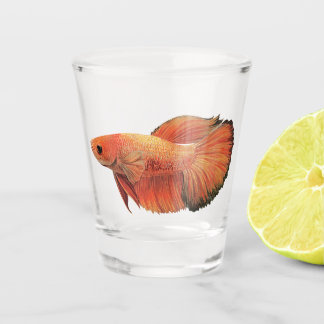 Orange male betta illustration shot glass