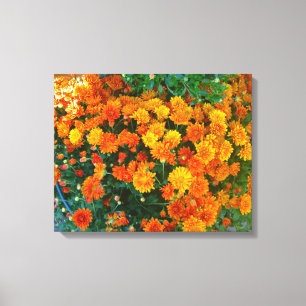 Orange Margarita Daisy Canvas Print