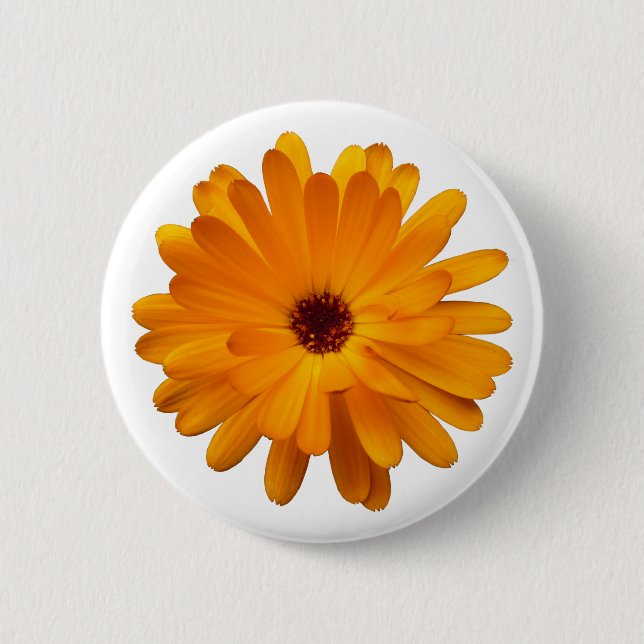 Orange Marigold 2 Inch Round Button (Front)