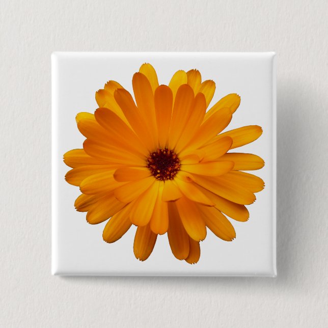 Orange Marigold 2 Inch Square Button (Front)