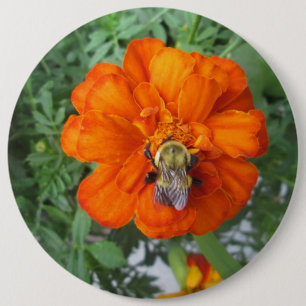 Orange Marigold Bee Flower 6 Inch Round Button