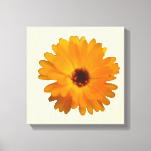 Orange Marigold Canvas Print