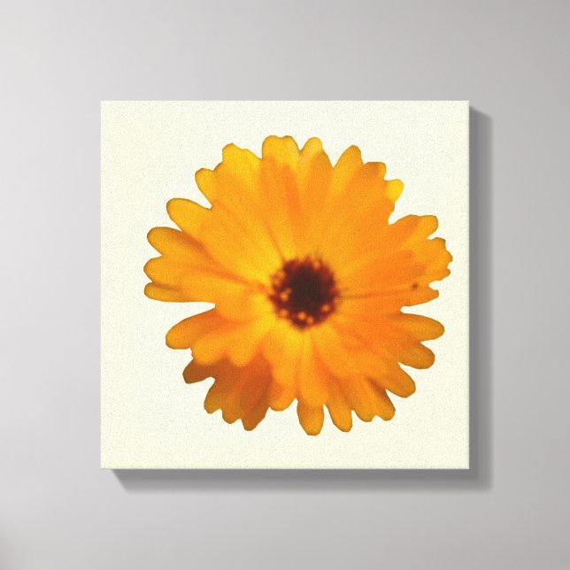 Orange Marigold Canvas Print (Front)