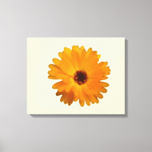 Orange Marigold Canvas Print