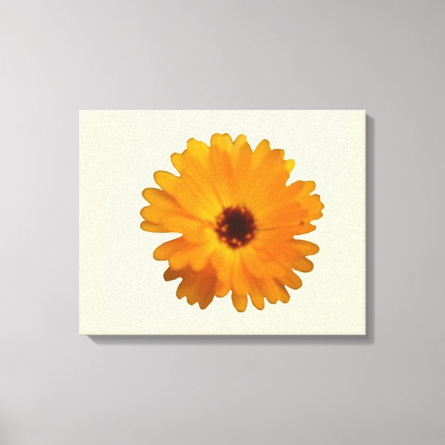 Orange Marigold Canvas Print (Front)
