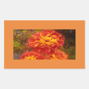 Orange Marigold Fall Morning Dew Sticker