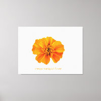 Orange marigold flower