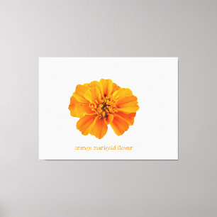 Orange marigold flower canvas print