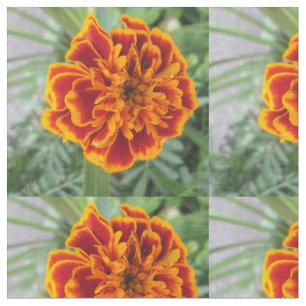 Orange Marigold Flower Fabric