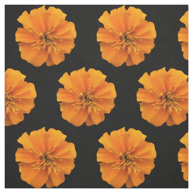 Orange Marigold Flowers on Black Background Fabric (Swatch)