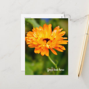 Orange Marigold Holiday Postcard