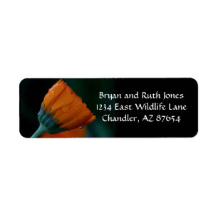 Orange marigold label