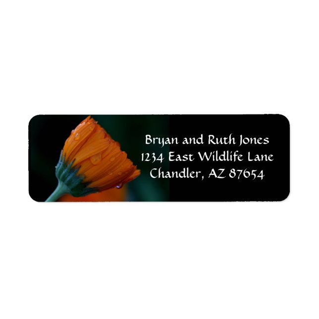 Orange marigold label (Front)