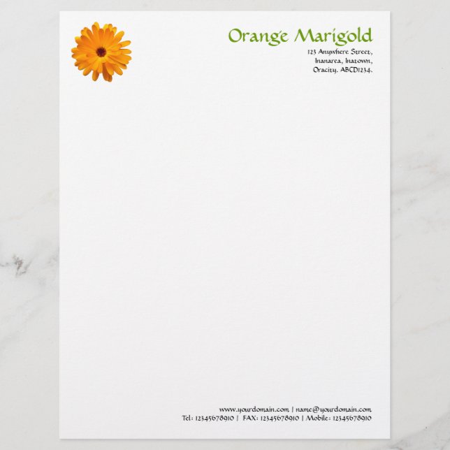 Orange Marigold Letterhead (Front)