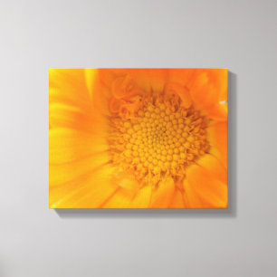 Orange Marigold Macro Canvas Print